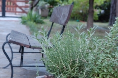 giardino di casa